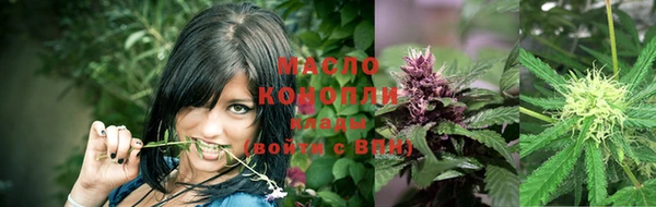 гашик Аркадак