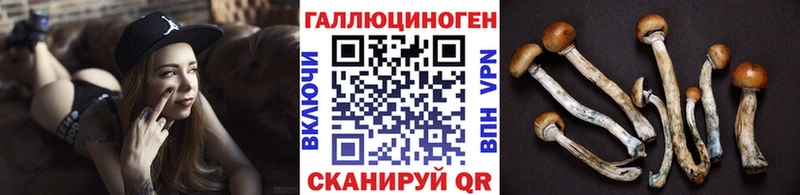 где купить   Сердобск  Псилоцибиновые грибы мухоморы 